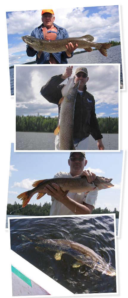 Best fishing experience we have ever had.