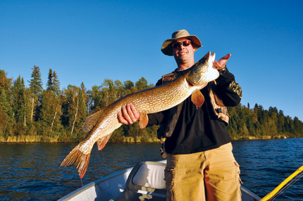 Northern Pike